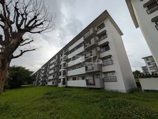 習志野台団地12街区9号棟の画像