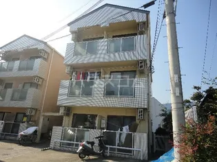 タチバナの画像