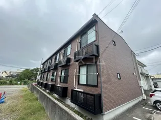 グレースDの画像