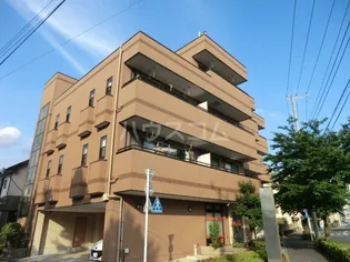 グリーンティエラの画像