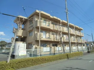 ヒルズM&Oの画像
