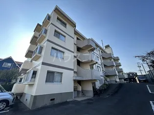シャンピアの画像