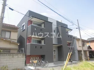 STELLAの画像