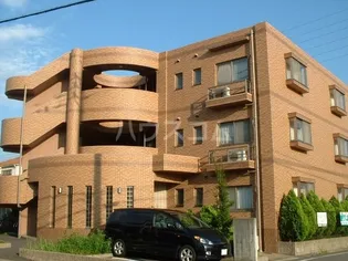 ソル デ パティオの画像