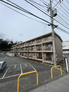 サン梅ノ木沢Aの画像