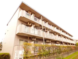 千葉県習志野市藤崎4丁目【マンション】の外観