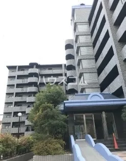 パディフィールドMの画像