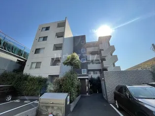 Y S HAPPINESSの画像