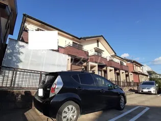 アプトエーデルワイスの画像