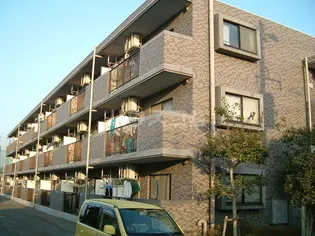 パオ ヤマニシの画像