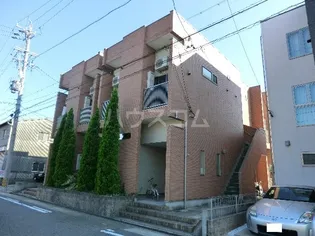 フリージアの画像