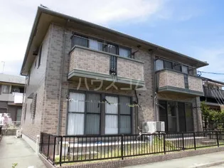 パイン石川の画像