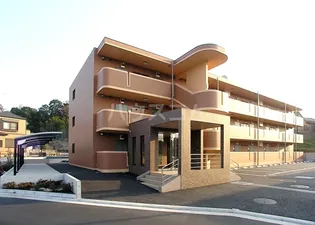 ジェミナイの画像