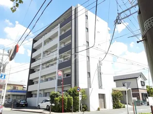 オーラヴィーヌの画像