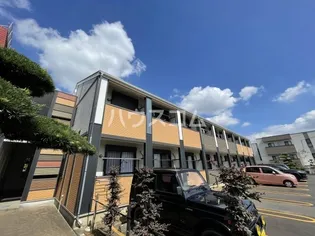 アンモードイグサ1の画像