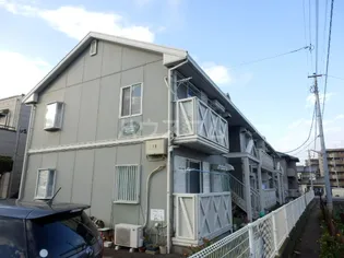 エヴァーグリーンの画像