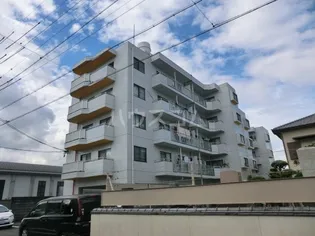 シティ オーガの画像