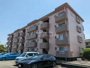 アミスターIIの画像