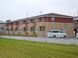 ビバーチェの画像