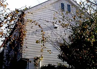 藤パレス井の頭B号館の画像