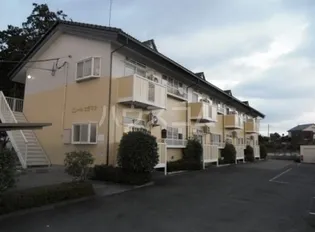 エリールヒラマツの画像