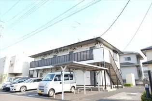 スターリーコートの画像