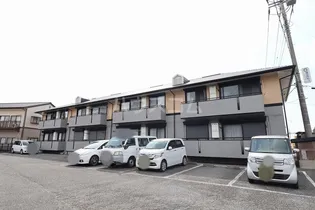 ハイカムール並木の画像