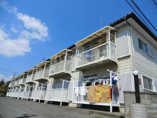 ハウスミニオンの画像