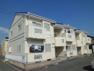 ビラセンダイの画像