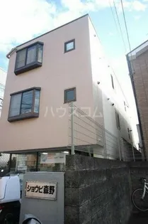 ショウビ森野の画像