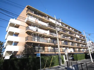 ゼルコーバ1の画像