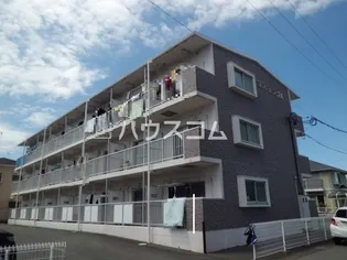 コスモス24の画像
