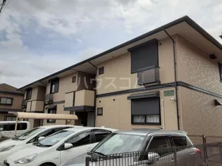 サンフローラEの画像