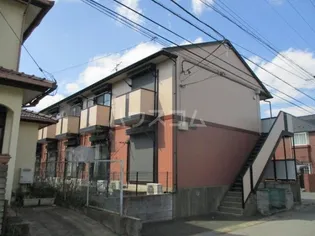 ビューラーみゆきの画像