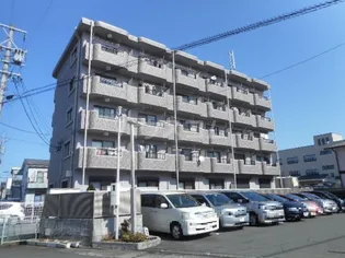 フォルテNの画像