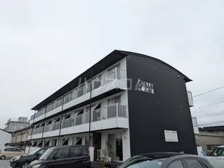 チェリーコートの画像