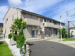 ローズマリーBの画像