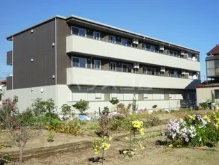 グラマードマレIIの画像