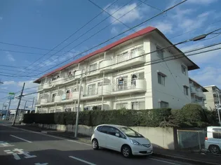 シャインクロコの画像