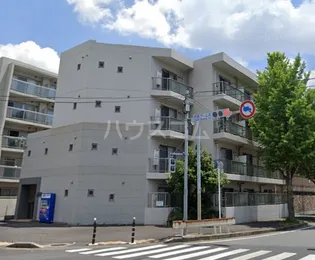 コルテージアの画像