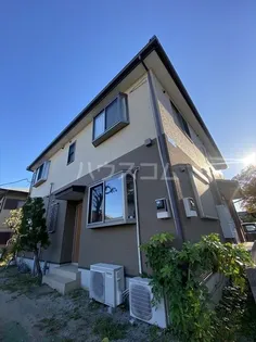 セントポーリアの画像