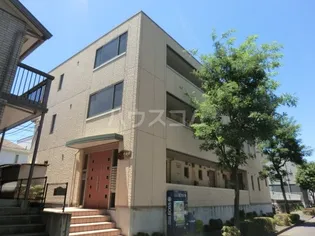 ベレオ森野の画像