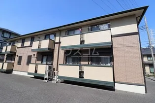 ステラコートの画像