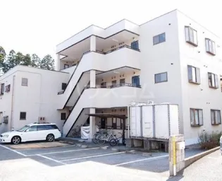 ラフィーヌ 青柳の画像