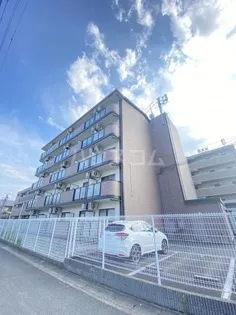 アン レーブの画像