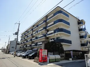 シベール桂泉の画像