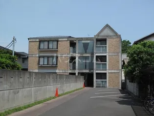 ヴァン シ ドールの画像