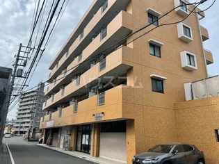 サングランの画像