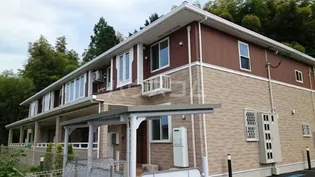 オーブ コリーヌの画像