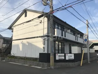 ルピナスMの画像